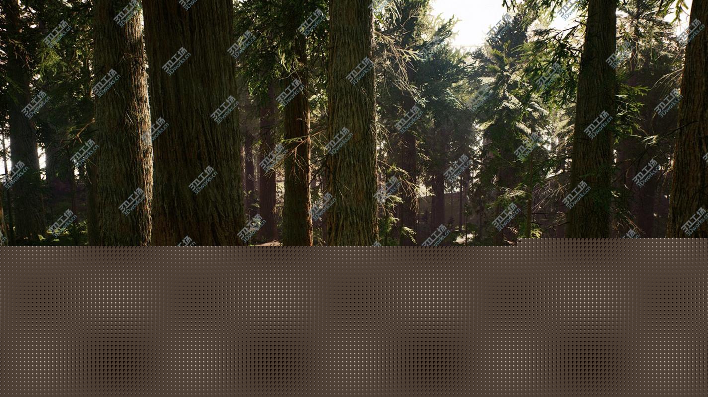 images/goods_img/202105073/Redwood Forest for Game Ready model/3.jpg